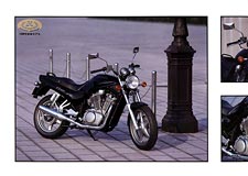 Suzuki VX800 brochure from Japan